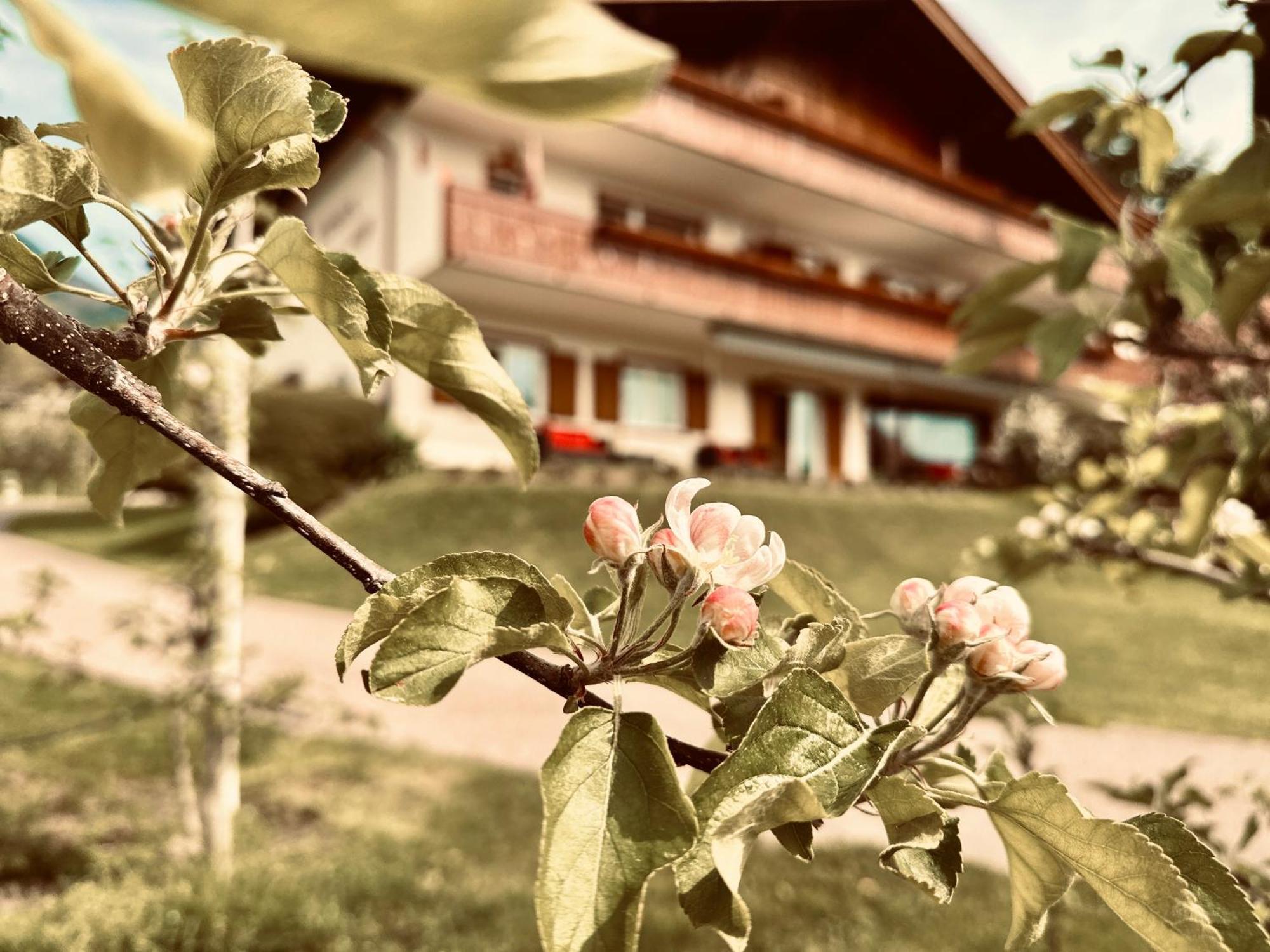 Neuhäuslhof *